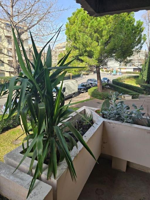 L'Appart' Μασσαλία Εξωτερικό φωτογραφία